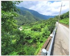  2025Ÿ��31379  �����