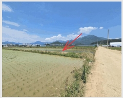  2025Ÿ��31397 �뱸 �޼��� ������ ��� 802      ����(��)���