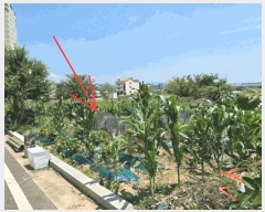  2025Ÿ��31397 �뱸 �޼��� ������ ��� 802      ����(��)���