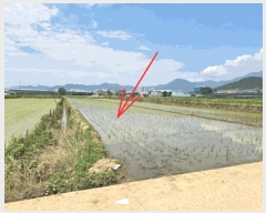  2025Ÿ��31397 �뱸 �޼��� ������ ��� 802      ����(��)���