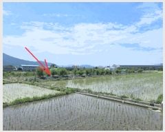  2025Ÿ��31397 �뱸 �޼��� ������ ��� 802      ����(��)���