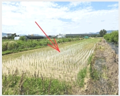  2025Ÿ��31397 �뱸 �޼��� ������ ��� 802      ����(��)���