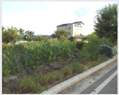  2025Ÿ��31397 �뱸 �޼��� ������ ��� 802      ����(��)���