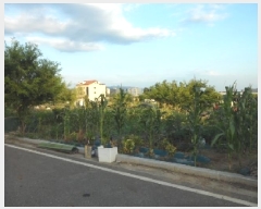  2025Ÿ��31397 �뱸 �޼��� ������ ��� 802      ����(��)���