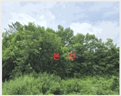 2025Ÿ��31415 ��� ���ֱ� ������ ���긮 333      ����(��1)���