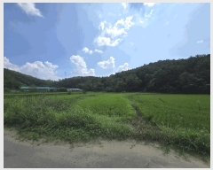  2025Ÿ��31610 �뱸 �޼��� �Ϻ�� �� 449-2      ����(��)���