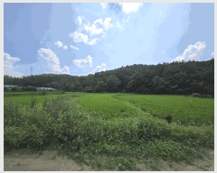  2025Ÿ��31610 �뱸 �޼��� �Ϻ�� �� 449-2      ����(��)���