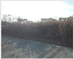  2025Ÿ��32131 �뱸 �޼��� ������ ������ 75-4      ����,â�����