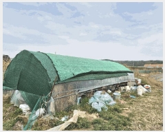  2025Ÿ��812  ����