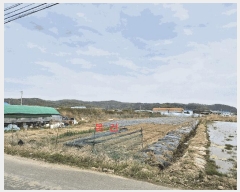  2025Ÿ��812  ����