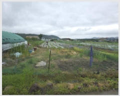  2025Ÿ��812  ����