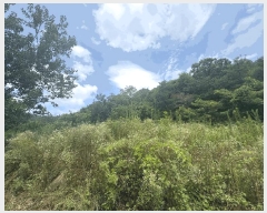  2025Ÿ��1532  ����