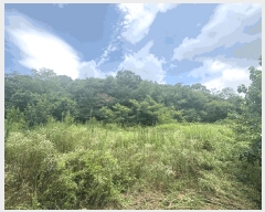  2025Ÿ��1532  ����