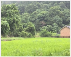  2025Ÿ��1532  ����