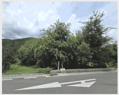  2025Ÿ��2078  ����