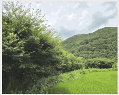  2025Ÿ��2078  ����