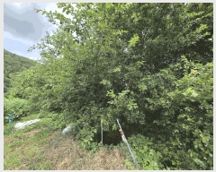  2025Ÿ��2078  ����