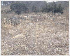  2025Ÿ��30994  ����