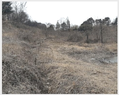  2025Ÿ��30994  ����