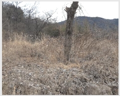  2025Ÿ��30994  ����