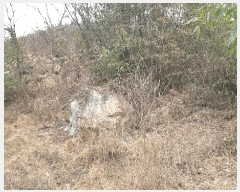  2025Ÿ��30994  ����