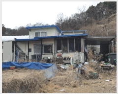  2025Ÿ��30994  ����