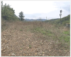  2025Ÿ31187 뱸 ޼  ϸ 491-2      (1)