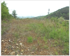  2025Ÿ31187 뱸 ޼  ϸ 491-2      (1)