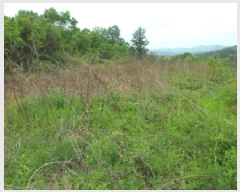  2025Ÿ31187 뱸 ޼  ϸ 491-2      (1)