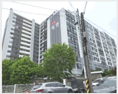  2025Ÿ��31199  ����Ʈ���