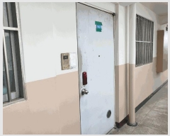  2025Ÿ��31199  ����Ʈ���