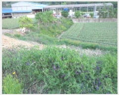  2025Ÿ��31247  �����