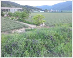  2025Ÿ��31247  �����