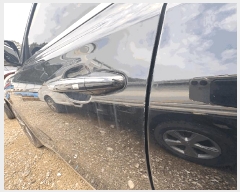  2025Ÿ31314 뱸  󸮵 295 ġ      