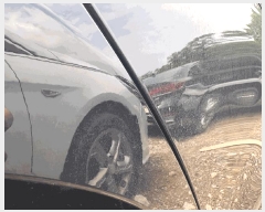  2025Ÿ31314 뱸  󸮵 295 ġ      