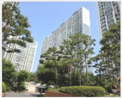  2025Ÿ��31368  ����Ʈ���