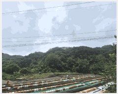  2025Ÿ��31434 ��� ���ֱ� �ݼ������ ��õ�� ��87      ����(�Ӿ�)���