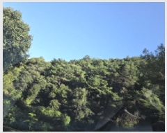  2025Ÿ��31434 ��� ���ֱ� �ݼ������ ��õ�� ��87      ����(�Ӿ�)���