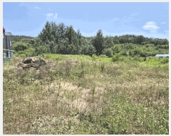  2025Ÿ��31470  ���ΰ��