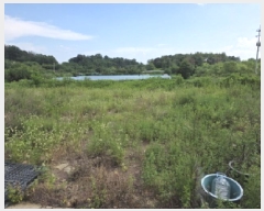  2025Ÿ��31470  ���ΰ��