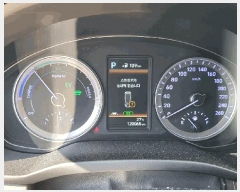  2025Ÿ31560 뱸  󸮵 295 ġ      