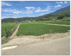  2025Ÿ��31578 �뱸 �޼��� ������ ���Ǹ� 650      ����(��)���