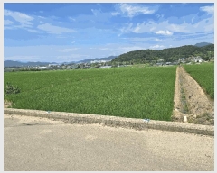  2025Ÿ��31578 �뱸 �޼��� ������ ���Ǹ� 650      ����(��)���