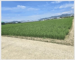  2025Ÿ��31578 �뱸 �޼��� ������ ���Ǹ� 650      ����(��)���