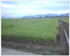  2025Ÿ��31578 �뱸 �޼��� ������ ���Ǹ� 650      ����(��)���