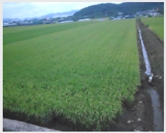  2025Ÿ��31578 �뱸 �޼��� ������ ���Ǹ� 650      ����(��)���