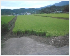  2025Ÿ��31578 �뱸 �޼��� ������ ���Ǹ� 650      ����(��)���