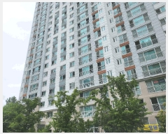  2025Ÿ��31620  ����Ʈ���