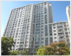  2025Ÿ��31620  ����Ʈ���