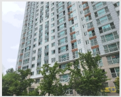  2025Ÿ��31620  ����Ʈ���